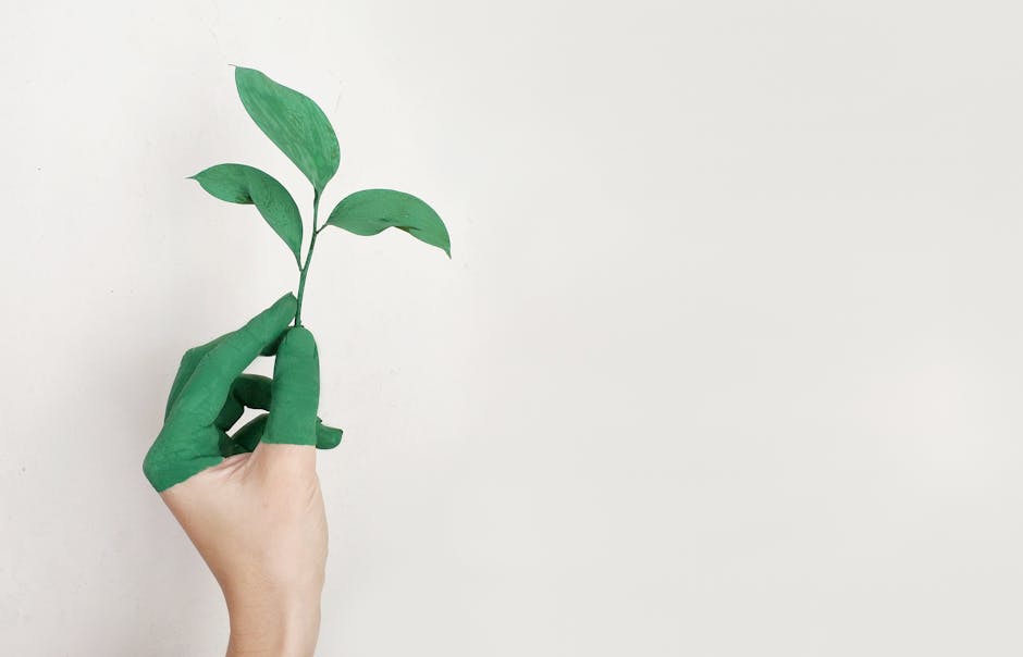 How to Build a Sustainable Wardrobe in 2025: Tips and Must-Have Pieces