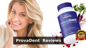 Provadent Reviews (2025 Update)